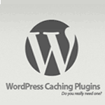 Cache Plugin WordPress