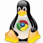 Install Google Chrome